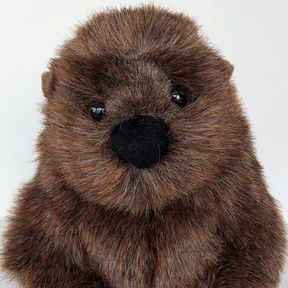 Douglas Plush New w/ Tag Groundhog Chuckwood Wild Stuffed Animal 11" - Picture 6 of 10